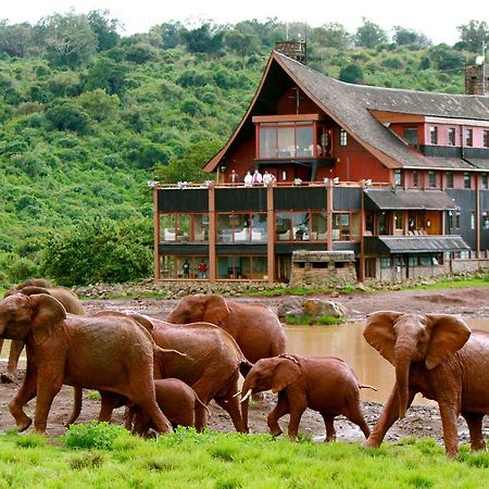 The Ark Lodge Ньери Экстерьер фото