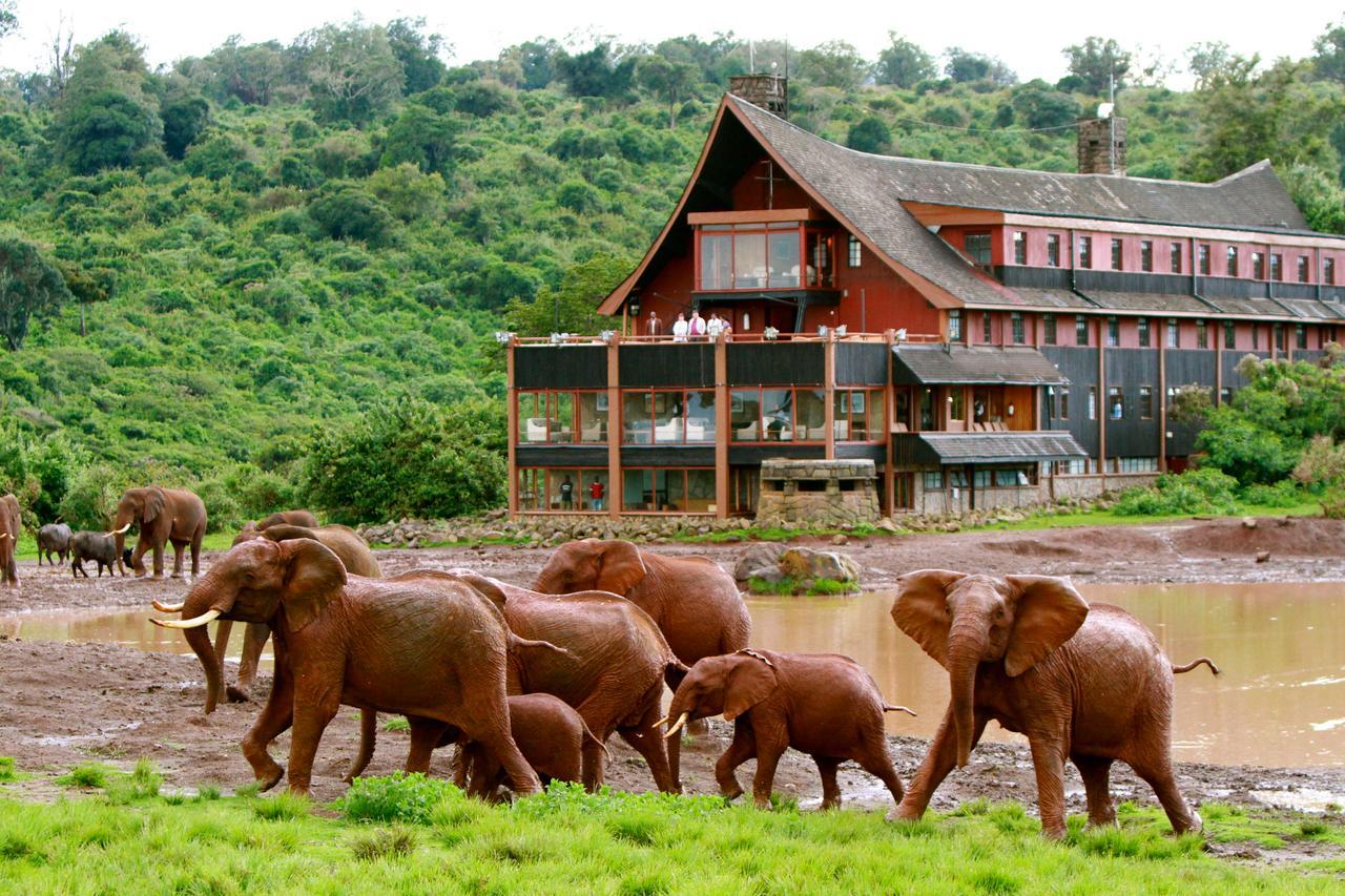 The Ark Lodge Ньери Экстерьер фото