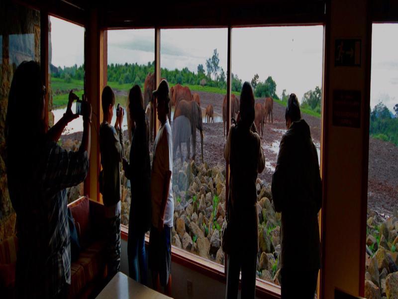 The Ark Lodge Ньери Экстерьер фото