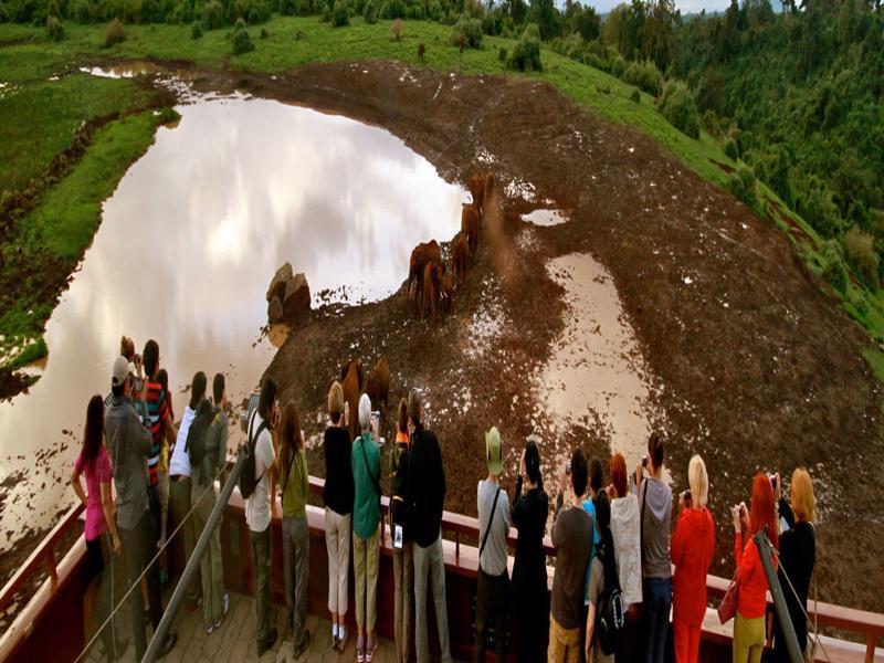 The Ark Lodge Ньери Экстерьер фото